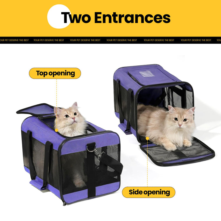 Conlun Cat Carrier Airline Approved, Soft-Sided Dog Carrier with Inner Safety Leash, Pet Transport Carrier for Small-Medium Cats Puppies up to 15 Lbs, Collapsible Travel Kitten Carrier Bag -BlackM