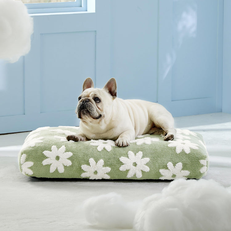 LE SURE Dog Beds Medium Size-Thick Shredded Chopped Foam Pet Bed as Gift for Indoor with Removable Cover, Cute Modern Fuzzy Plush & Anti Slip Bottom, Green