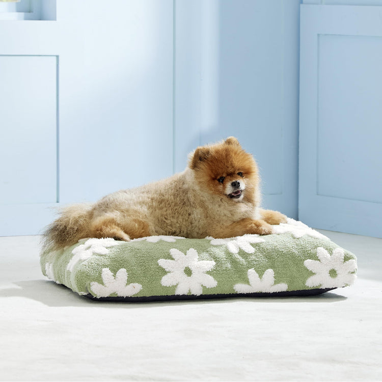 LE SURE Dog Beds Medium Size-Thick Shredded Chopped Foam Pet Bed as Gift for Indoor with Removable Cover, Cute Modern Fuzzy Plush & Anti Slip Bottom, Green