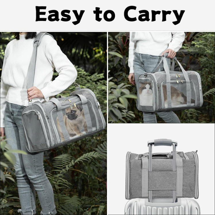 Soft-Sided Cat/Dog/Pet Carrier, Collapsible Pets Travel Carriers for Big Cats/Small Dogs with Shoulder Strap & Removable Mat, Mesh Puppy Carry Bag, Up to 16 Lbs, TSA Airline Approved(Black)