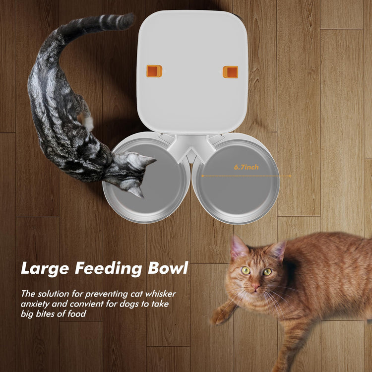 Automatic Dog Feeder - 8L/34 Cups Large Capacity Automatic Cat Food Dispenser with LCD Screen, Large Food Tray, Battery Operated, Timed Cat Feeder, Up to 50 Portions 6 Meals Per Day, Keeps Fresh