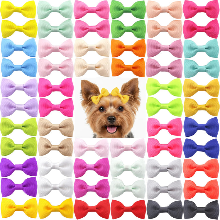 QingHan Dog Hair Bows Small Puppy Clips for Pet Grooming Accessories Doggy Gifts 60Pcs (30 Pairs)