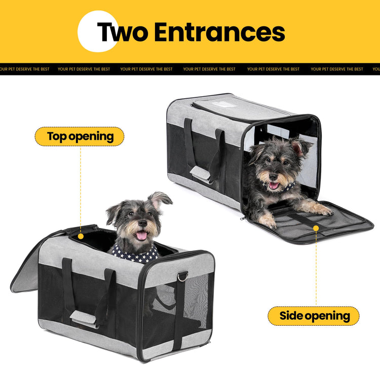 Conlun Cat Carrier Airline Approved, Soft-Sided Dog Carrier with Inner Safety Leash, Pet Transport Carrier for Small-Medium Cats Puppies up to 15 Lbs, Collapsible Travel Kitten Carrier Bag -BlackM