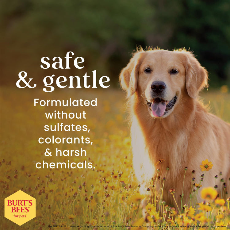 Burt's Bees for Pets Honey Multipurpose Dog Grooming Wipes, Gentle Hypoallergenic Spot Cleaning Sheets, pH Balanced Natural Origin Formula for Paws, Face and Butt, 50 Count