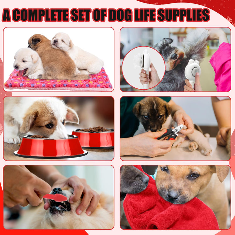 Abbylike 50 Pcs Puppy Supplies Starter Kit for Small Dogs Puppy Essentials Includes Leash, Bowls, Teeth Brushes, Water Bottle, and More Accessories for Dogs Pet Day Welcome Gift(Purple)