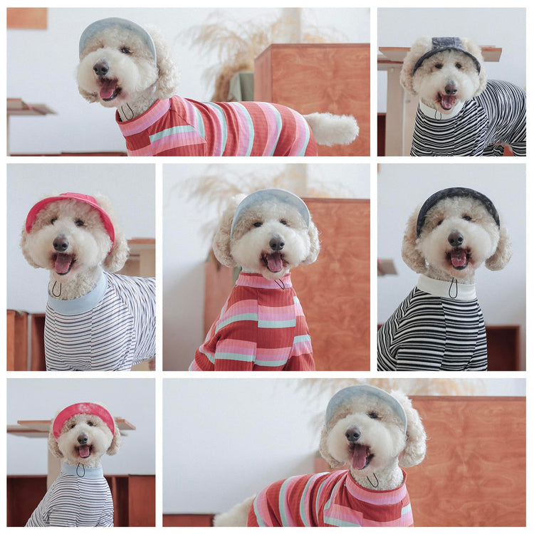 Pet hat with Ear Holes Sunscreen Baseball Cap Suitable for Small and Medium-Sized Dogs Outdoor Climbing hat in Summer Pet Products (Pink, Medium)