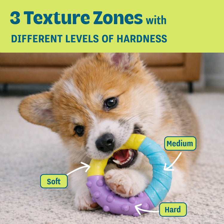 Cutie Chewies Hedgehog Dental Dog Chew Toy — Multi-Textured, Massages Gums, Floats & Bounces for Teething Puppies & Small Dogs, 5" x 3.5" x 1"