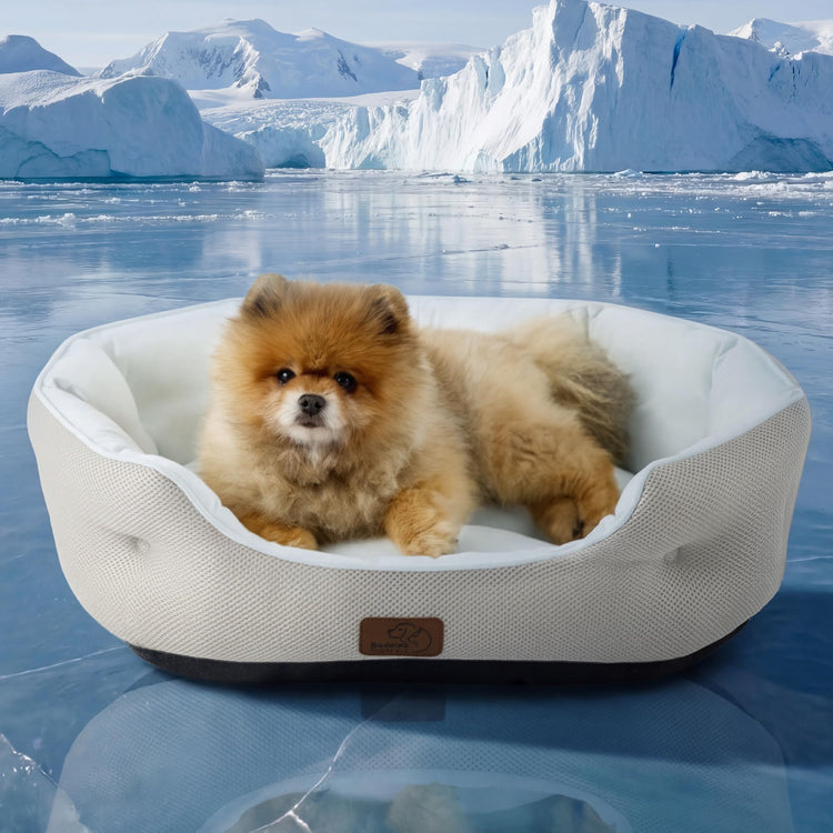 Bedsure Dog Beds for Small Dogs - Round Medium Cat Beds for Indoor Cats, Washable Pet Bed for Puppy and Kitten with Slip-Resistant Bottom, 25 Inches, Taupe