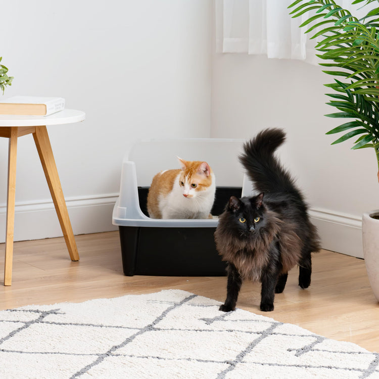 IRIS USA Cat Litter Box XX-Large Open Top with High Sided Walls Tall Scatter Shield Scoop Included Easy Clean Plastic Pan for Big Cats Kittens Multi-Cat Households 30"L x 20"W x 14"H Navy