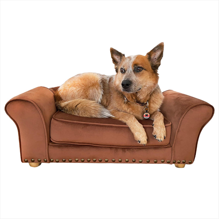CRITTER SITTERS 33” Faux Suede Ped Bed in Brown, Durable Washable Sofa Couch for Small & Medium Cats & Dogs, Must Have Accessory for Yorkies, Shih Tzus & Frenchies, Kitten & Puppy Essential Furniture