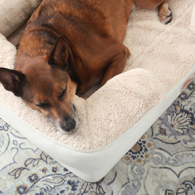 Town & Country Everyday CuddleTown Comfy Solid Bolster Sofa Pet Bed, Supportive & Calming Egg Crate Foam, Non-Slip Bottom, Machine Washable Cover, Grey, Medium 28"x23"x8"