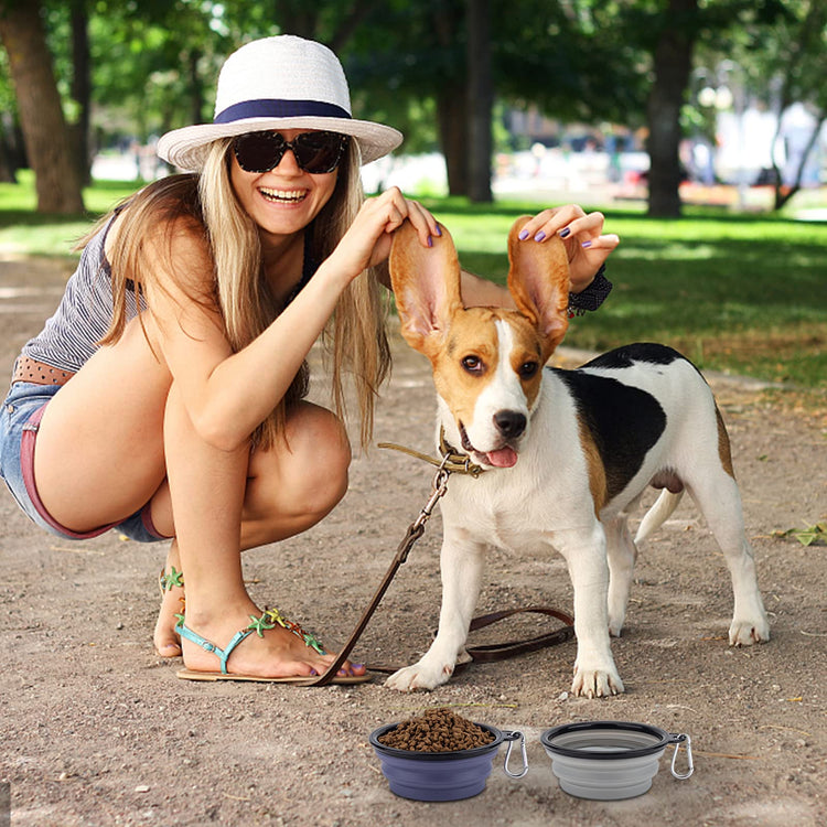 SLSON Collapsible Bowl with Cover Lids,2 Pack Dog Travel Bowls Portable Foldable Cat Water Dish Bowl for Pets Walking Parking Camping (Light Blue and Green, Small)