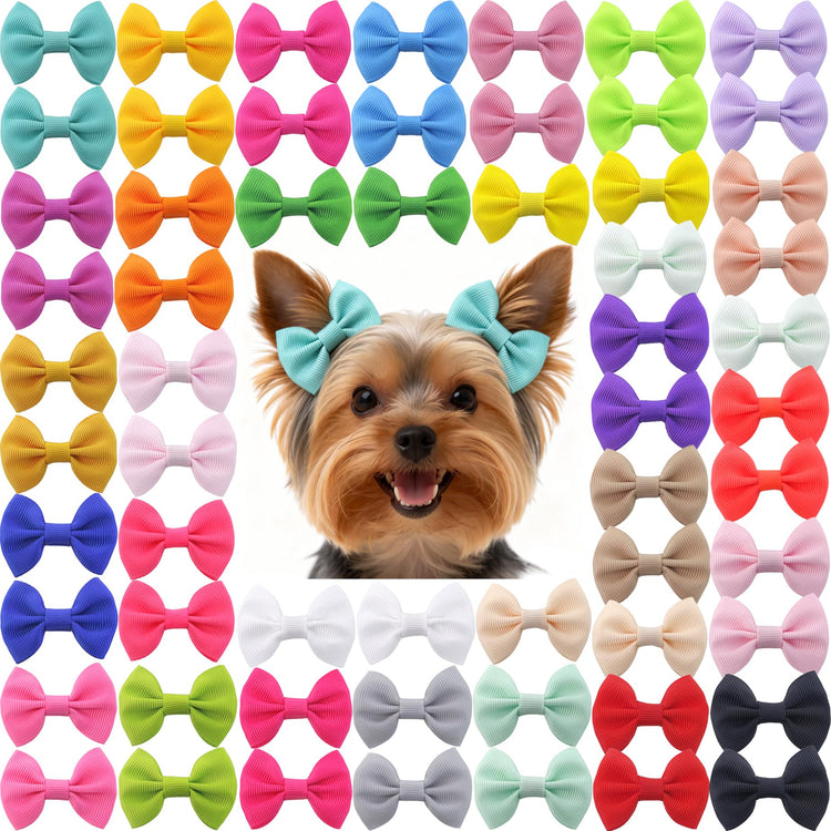 QingHan Dog Hair Bows Small Puppy Clips for Pet Grooming Accessories Doggy Gifts 60Pcs (30 Pairs)