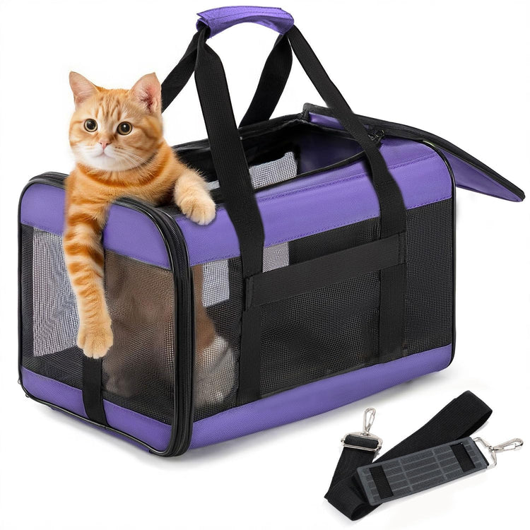 Conlun Cat Carrier Airline Approved, Soft-Sided Dog Carrier with Inner Safety Leash, Pet Transport Carrier for Small-Medium Cats Puppies up to 15 Lbs, Collapsible Travel Kitten Carrier Bag -BlackM