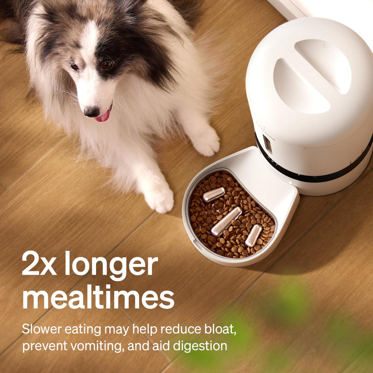 PETLIBRO Automatic Cat Feeder with Camera, 1080P HD & Night Vision, 5GHz/2.4GHz WiFi & Cam Smart Pet Feeder with App Control, 2-Way Audio, Motion Alerts for Cats & Dogs, Stainless Steel Single Tray