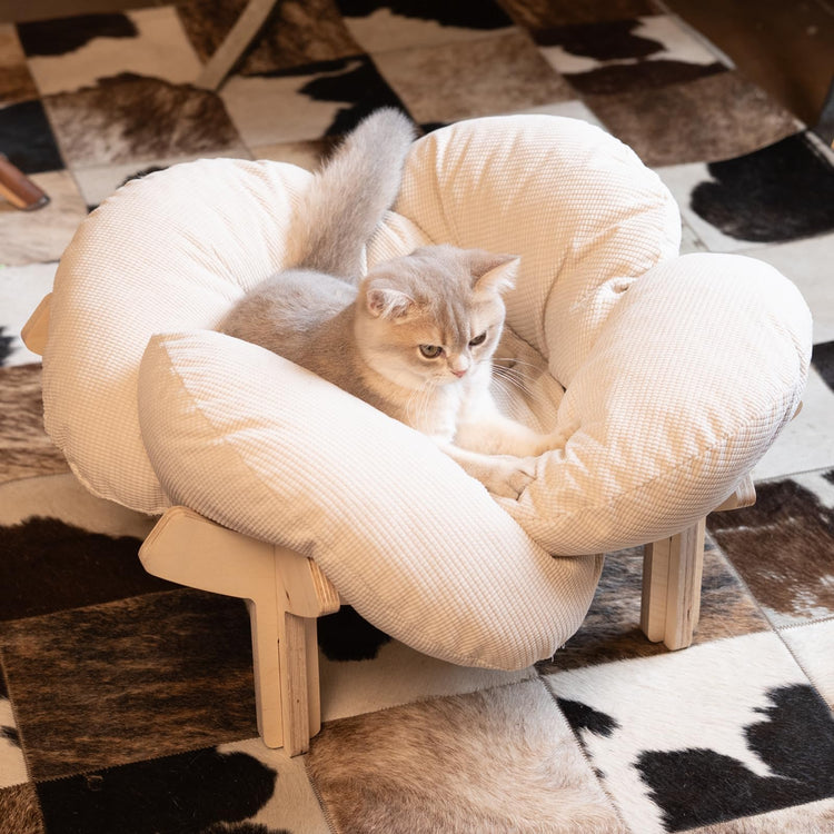 CHEERHOME PETS Elevated Cat Bed Wooden with Cushion Fluffy Pet Couch Sofa for Indoor Cats Raised Kitty Lounge Chair Suitable for Puppy, Cat Furniture(Pink)