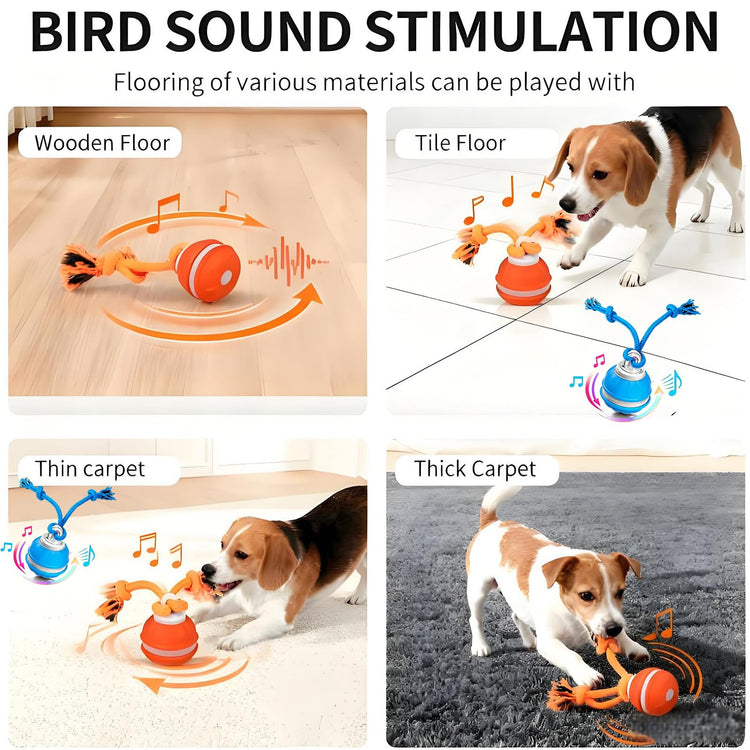 Interactive Dog Toys, Interactive Dog Ball with Birdsong Squeaky Chewable Rope for Small/Medium/Large Dogs,Automatic Moving Dogs Toy Wicked Ball for Boredom & Training,Dog Toys to Keep them Busy(Blue)