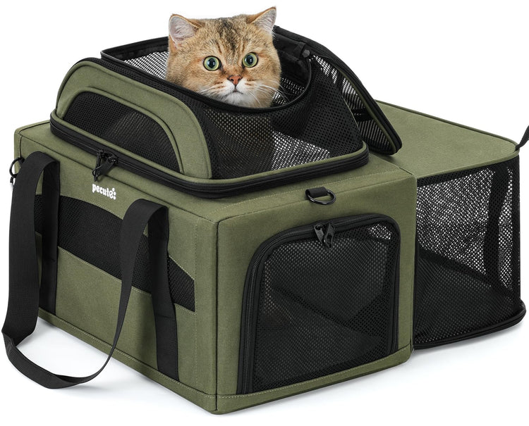 Pecute Expandable Pet Carrier Airline Approved Dog Cat Carrier, Breathable Soft-Sided with Locking Zippers, Pet Travel Bag for Small Dog Cat Anti-Scratch Mesh Leakproof Pee Pad (Dark Gray)
