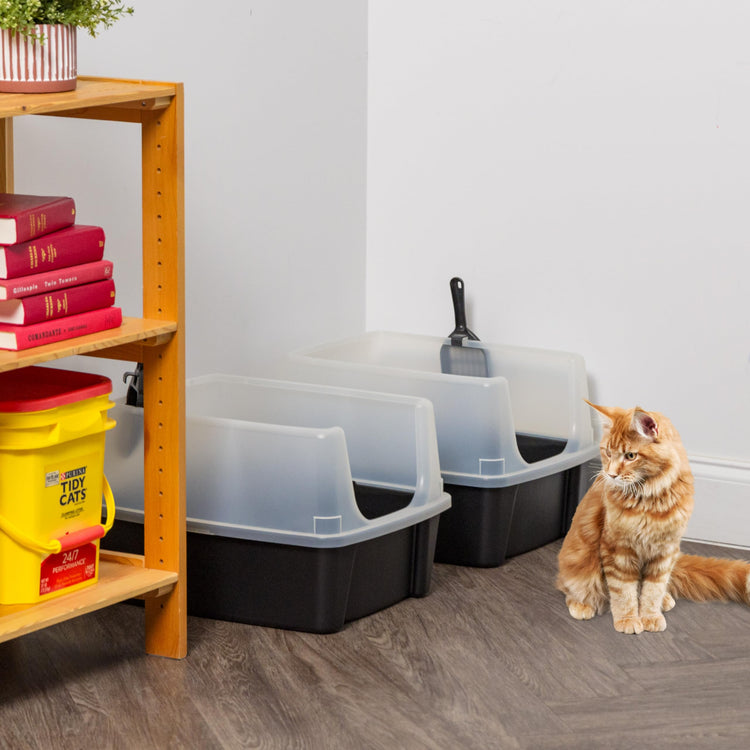 IRIS USA Cat Litter Box Large Open Top with High Sided Walls Tall Scatter Shield Scoop Included Easy Clean Plastic Pan Stain Resistant for Big Cats Kittens Indoor Multi-Cat Households