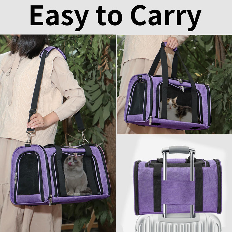 Soft-Sided Cat/Dog/Pet Carrier, Collapsible Pets Travel Carriers for Big Cats/Small Dogs with Shoulder Strap & Removable Mat, Mesh Puppy Carry Bag, Up to 16 Lbs, TSA Airline Approved(Black)