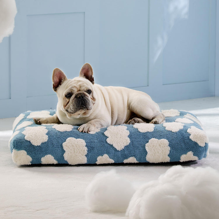 LE SURE Dog Beds Medium Size-Thick Shredded Chopped Foam Pet Bed as Gift for Indoor with Removable Cover, Cute Modern Fuzzy Plush & Anti Slip Bottom, Green