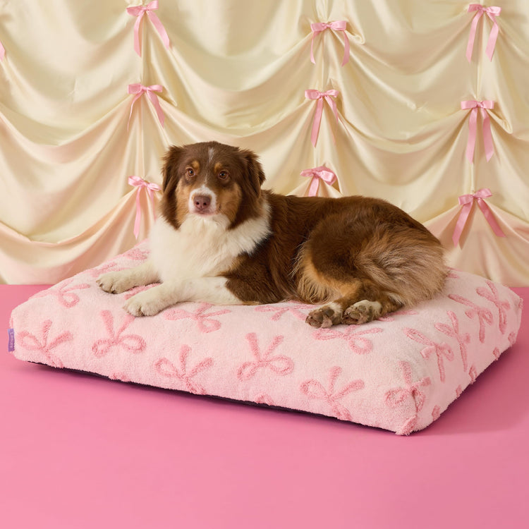 LE SURE Dog Beds Medium Size-Thick Shredded Chopped Foam Pet Bed as Gift for Indoor with Removable Cover, Cute Modern Fuzzy Plush & Anti Slip Bottom, Green
