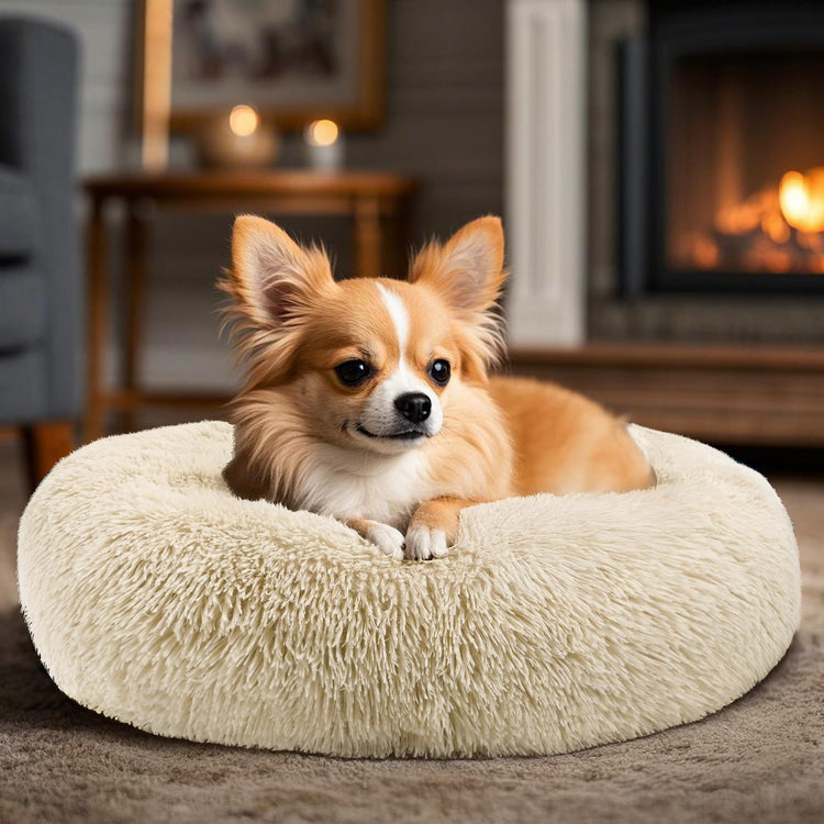 Hoewina Dog & Cat Bed for Indoor Cats, 20in Calming Donut Bed for Puppy and Kitten, Washable Round Fluffy Pet Bed for Small Medium Dogs and Cats (Light Grey)