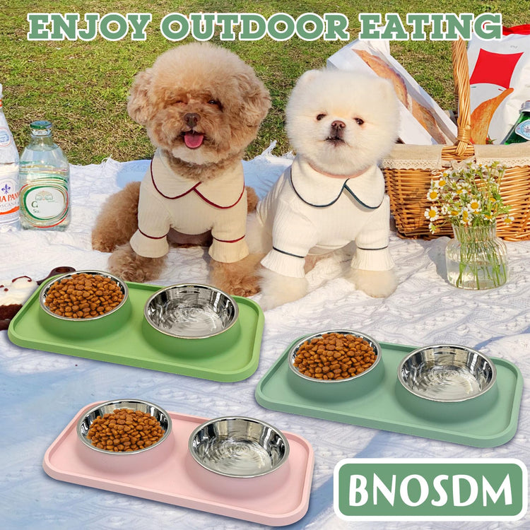 BNOSDM Double Dog Food Bowls Stainless Steel Dog Food and Water Bowls with Non-Spill Plastic Mat Pet Cat Feeder Bowl Set for Puppy Cats Kitten Small Medium Dogs Pink