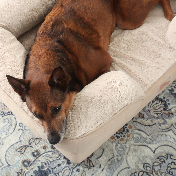 Town & Country Everyday CuddleTown Comfy Solid Bolster Sofa Pet Bed, Supportive & Calming Egg Crate Foam, Non-Slip Bottom, Machine Washable Cover, Grey, Medium 28"x23"x8"