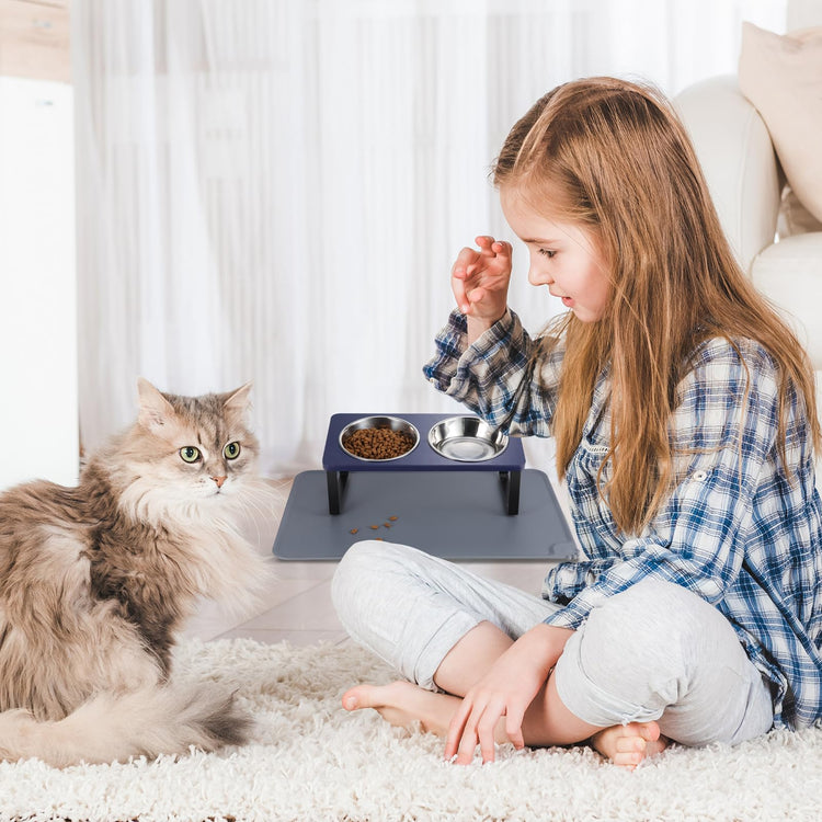 Upgraded Elevated Cat Bowls with Food Mat,15°Tilted Stand Anti Vomiting Raised Cat Dishes for Food and Water,2 Stainless Steel Bowls for Cats and Puppy