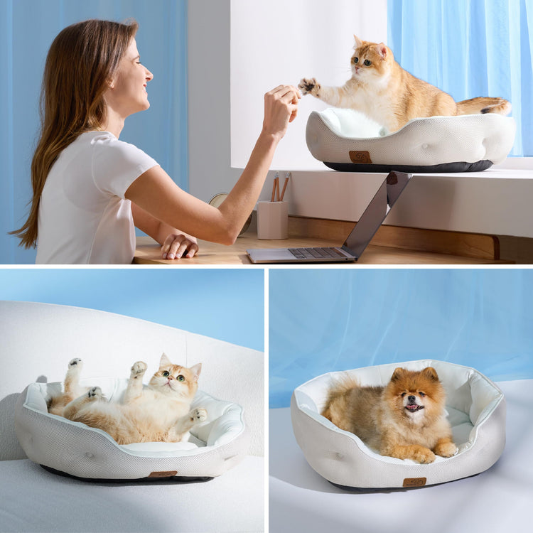 Bedsure Dog Beds for Small Dogs - Round Medium Cat Beds for Indoor Cats, Washable Pet Bed for Puppy and Kitten with Slip-Resistant Bottom, 25 Inches, Taupe