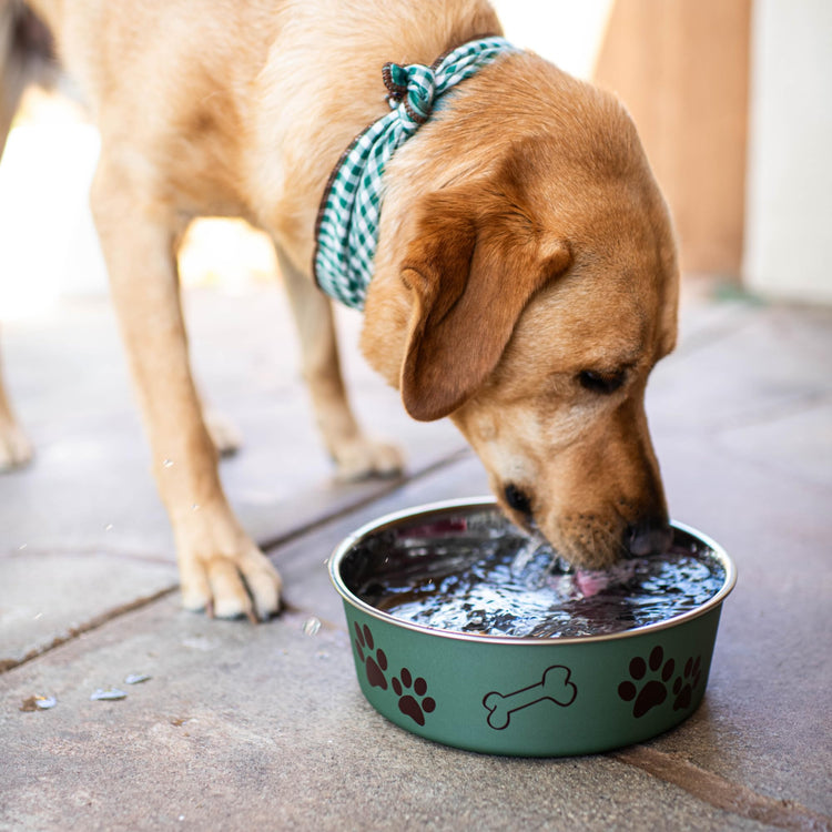 Loving Pets Bella Dog Bowls- Stainless Steel Dog & Cat Bowls - Spill Proof Dog Food Bowl, Cat Bowl, Puppy Essentials & Pet Supplies Great for Home & Travel (Medium 20-35 lbs, Blueberry)