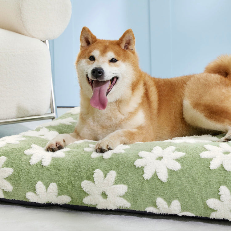 LE SURE Dog Beds Medium Size-Thick Shredded Chopped Foam Pet Bed as Gift for Indoor with Removable Cover, Cute Modern Fuzzy Plush & Anti Slip Bottom, Green