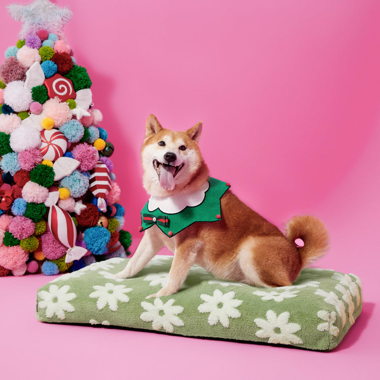 LE SURE Dog Beds Medium Size-Thick Shredded Chopped Foam Pet Bed as Gift for Indoor with Removable Cover, Cute Modern Fuzzy Plush & Anti Slip Bottom, Green