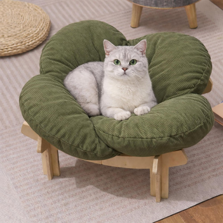 Elevated Wooden Cat Bed with Fluffy Removable Cushion, Modern Petal Shaped Cat Couch Sofa for Indoor Cats Small Dogs 40lbs Capacity Easy to Assemble (White)