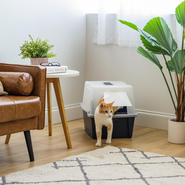 IRIS USA Cat Litter Box, Litter Box Enclosure with Scoop and Front Door Flap, Covered Kitty Litter Box for Privacy, Portable, Easy to Clean, Navy