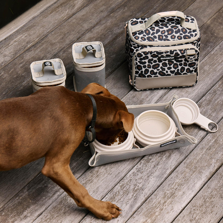 Cleverpup, Large 7-Piece Bistro Box Dog Food Travel Kit, 12-Cup Kibble Storage, 2 Silicone Bowls, Mat & Scoop - Premium Portable Pet Food Kit for Weekends, Overnights, Daycare & Camping, Checkerboard