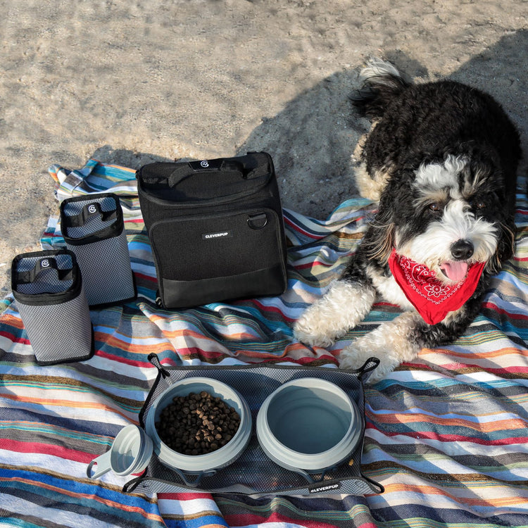 Cleverpup, Large 7-Piece Bistro Box Dog Food Travel Kit, 12-Cup Kibble Storage, 2 Silicone Bowls, Mat & Scoop - Premium Portable Pet Food Kit for Weekends, Overnights, Daycare & Camping, Checkerboard