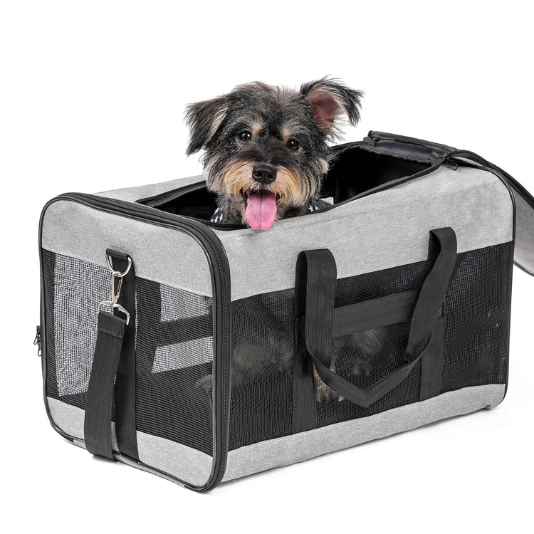 Conlun Cat Carrier Airline Approved, Soft-Sided Dog Carrier with Inner Safety Leash, Pet Transport Carrier for Small-Medium Cats Puppies up to 15 Lbs, Collapsible Travel Kitten Carrier Bag -BlackM