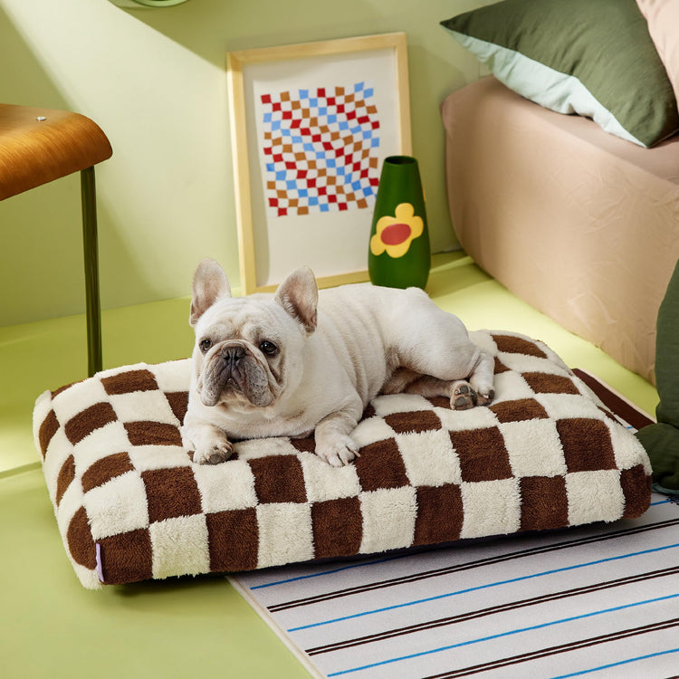 LE SURE Dog Beds Medium Size-Thick Shredded Chopped Foam Pet Bed as Gift for Indoor with Removable Cover, Cute Modern Fuzzy Plush & Anti Slip Bottom, Green