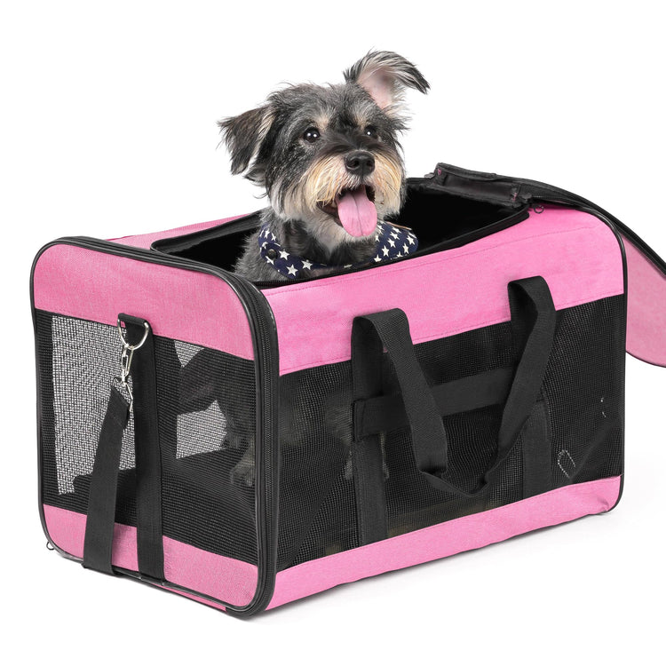 Conlun Cat Carrier Airline Approved, Soft-Sided Dog Carrier with Inner Safety Leash, Pet Transport Carrier for Small-Medium Cats Puppies up to 15 Lbs, Collapsible Travel Kitten Carrier Bag -BlackM