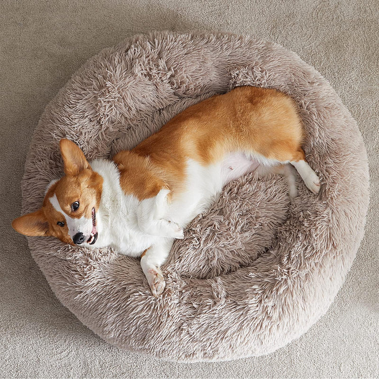 WNPETHOME Calming Dog Bed & Cat Bed, Anti-Anxiety Donut Small Dog Bed, Fluffy Faux Fur Cats Cushion Puppy Bed for Small Pets and Cats (24 x 24 inch, Light Coffee)