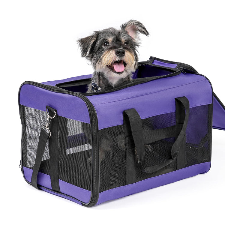 Conlun Cat Carrier Airline Approved, Soft-Sided Dog Carrier with Inner Safety Leash, Pet Transport Carrier for Small-Medium Cats Puppies up to 15 Lbs, Collapsible Travel Kitten Carrier Bag -BlackM