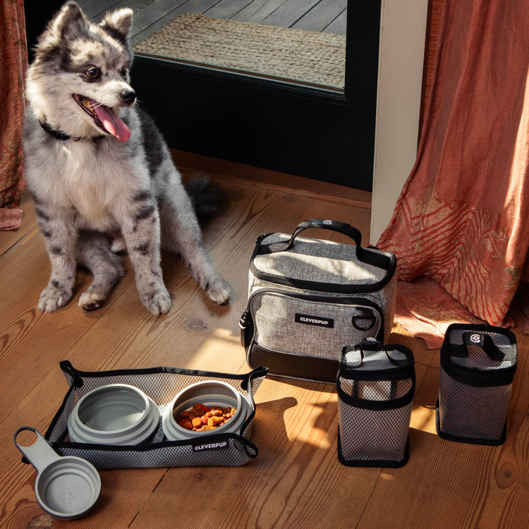 Cleverpup, Large 7-Piece Bistro Box Dog Food Travel Kit, 12-Cup Kibble Storage, 2 Silicone Bowls, Mat & Scoop - Premium Portable Pet Food Kit for Weekends, Overnights, Daycare & Camping, Checkerboard