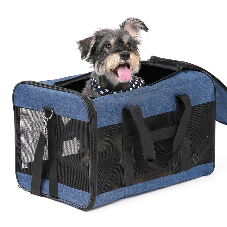 Conlun Cat Carrier Airline Approved, Soft-Sided Dog Carrier with Inner Safety Leash, Pet Transport Carrier for Small-Medium Cats Puppies up to 15 Lbs, Collapsible Travel Kitten Carrier Bag -BlackM