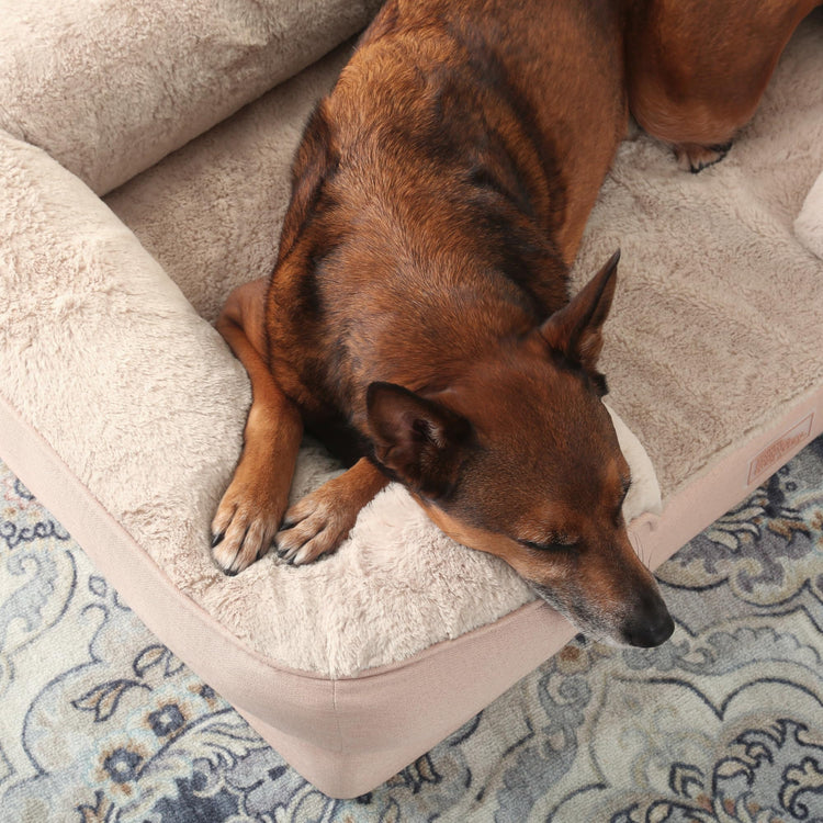 Town & Country Everyday CuddleTown Comfy Solid Bolster Sofa Pet Bed, Supportive & Calming Egg Crate Foam, Non-Slip Bottom, Machine Washable Cover, Grey, Medium 28"x23"x8"